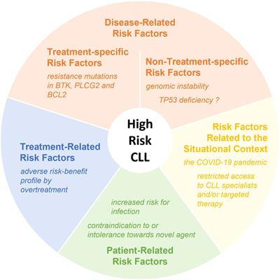 Opinion: What defines high-risk CLL in the post-chemoimmunotherapy era?